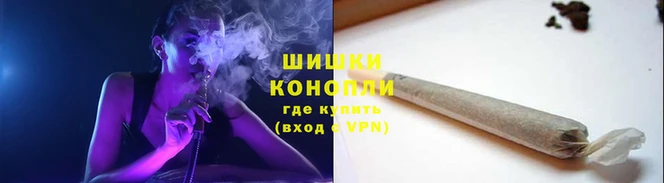 mdpv Елизово