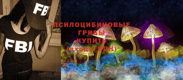 экстази Ельня