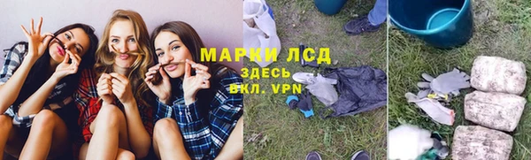 mdpv Елизово