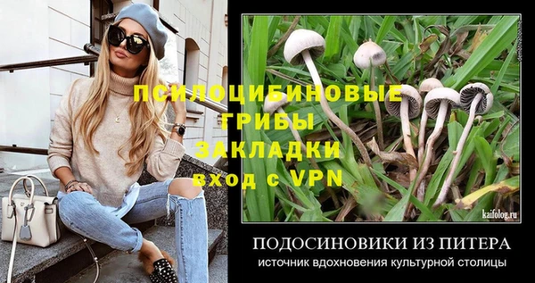 экстази Ельня
